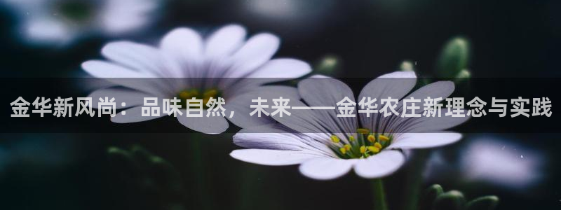 必一体育官网app