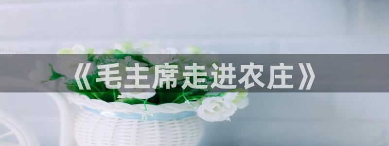 必一体育sport网页版