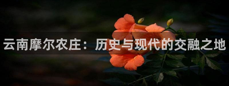 必一体育运动app下载