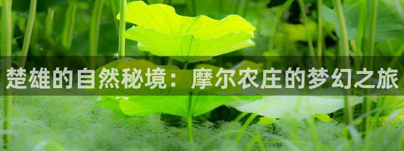 必一体育app下载安装