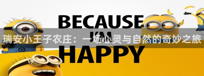 必一体育sport官网