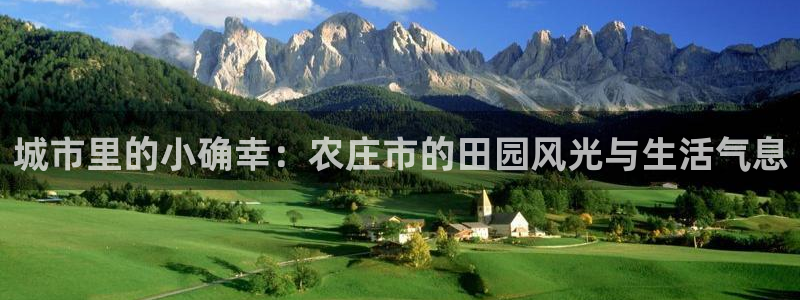 必一体育是啥