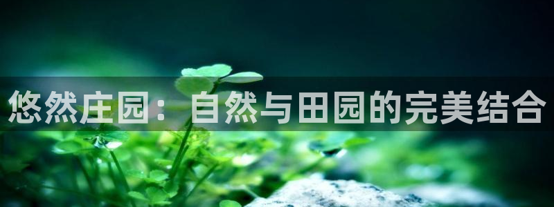 必一体育下载app