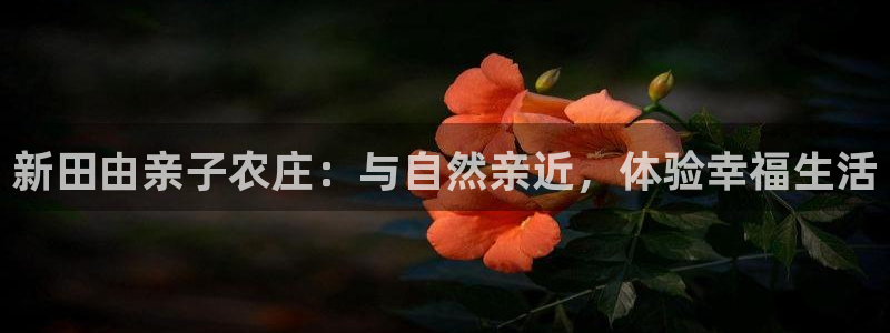 必一体育游戏特色