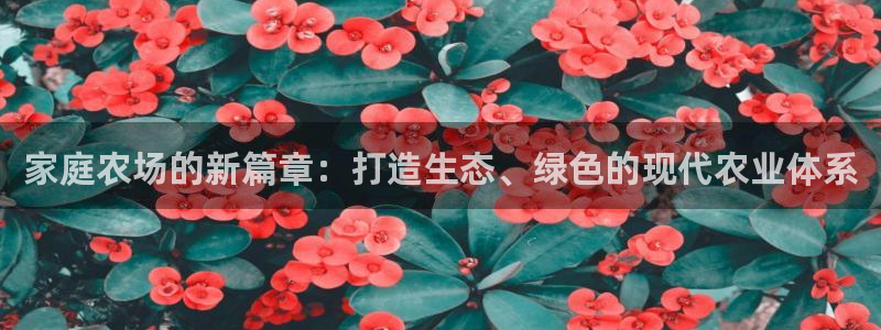 必一体育流水线是什么意思