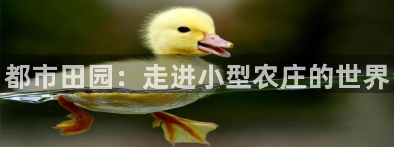 必一运动tieba.baidu.com
