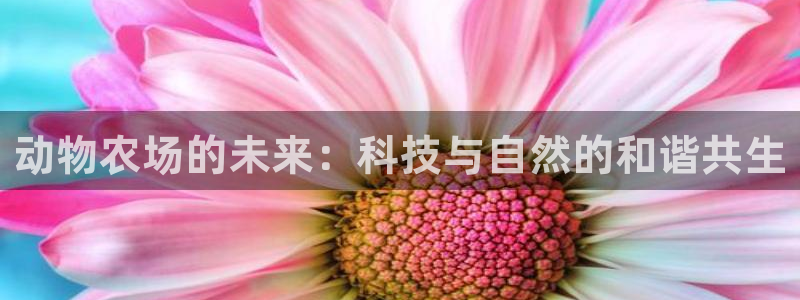 必一体育官方下载入口