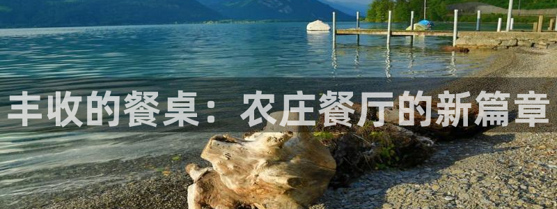 必一体育游戏特色
