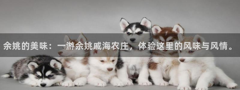 必一运动体育