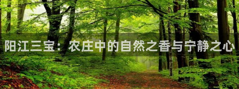必一体育官方网站入口