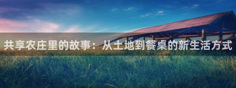 必一体育旧版
