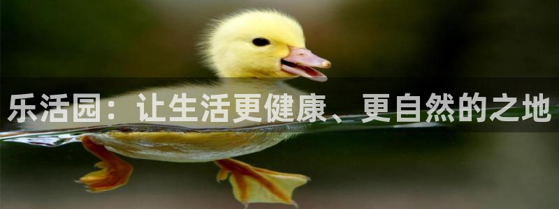 必一体育app下载最新版本苹果