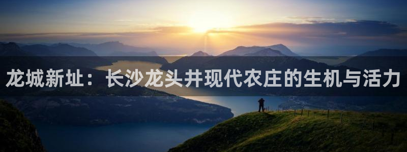 必一体育网页登陆