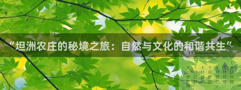必一体育网页登陆