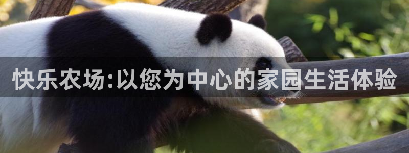 必一运动验证码