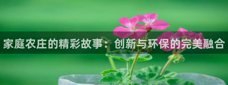 必一运动体育官网