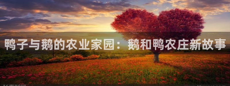 必一体育sport装机吧