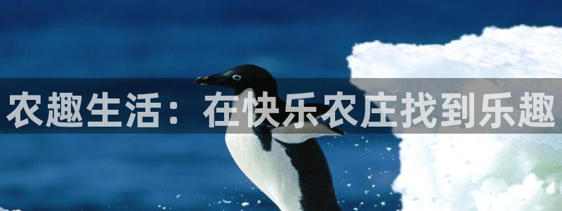 必一体育app官方网站