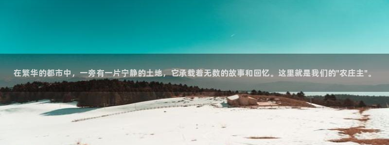 必一体育合法吗