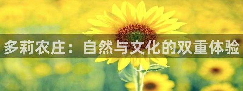必一运动·(b-sports)官方网站