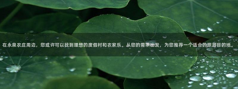 必一体育登录入口APP