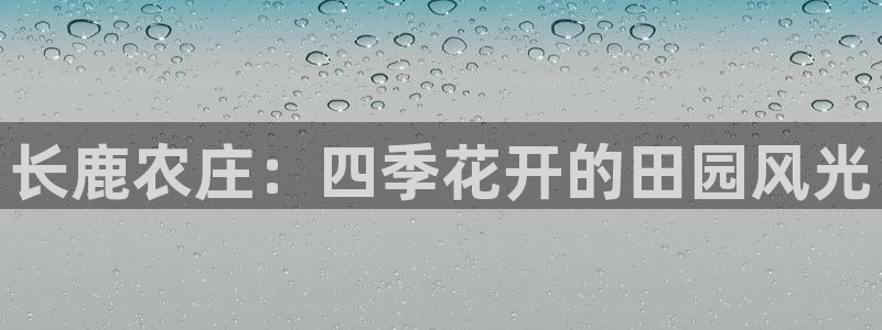 必一体育官方下载