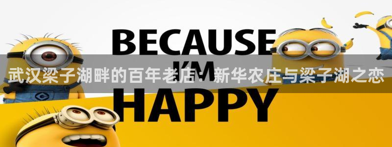 必一运动体育官网
