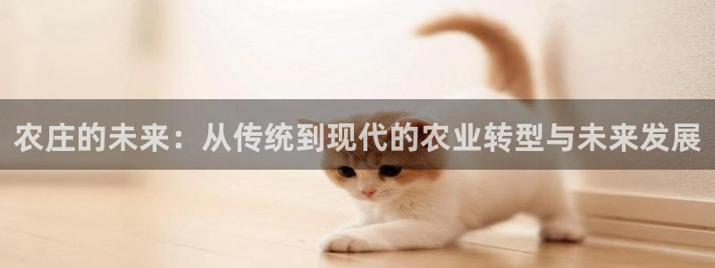 必一体育登陆