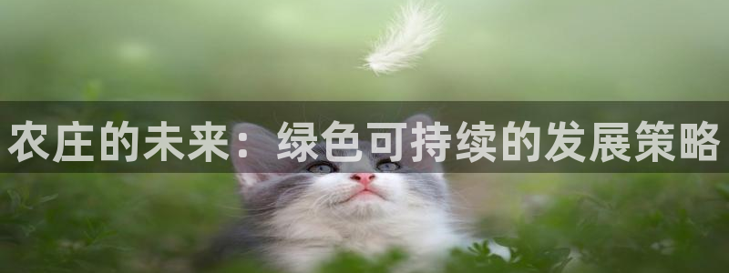 b体育必一运动网页版在线登录入口