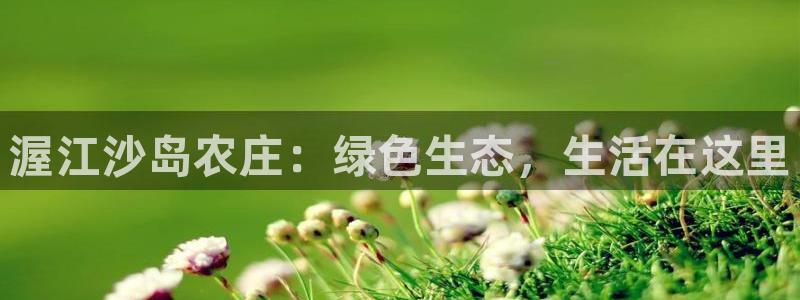 必一体育在线入口