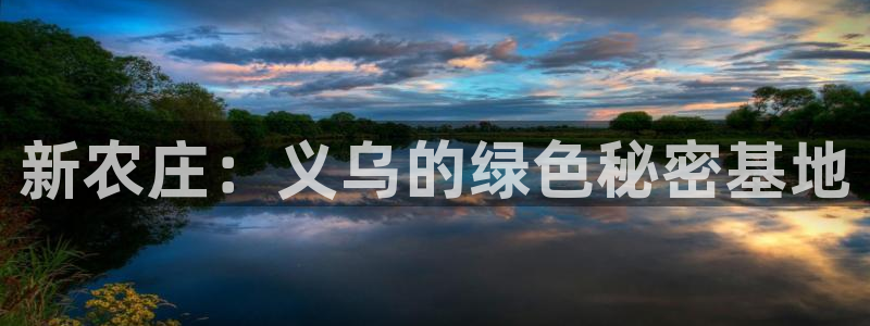 必一体育APP