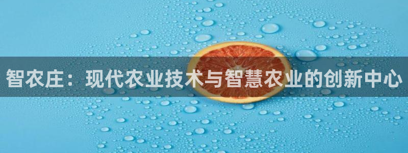 必一体育app官方网站