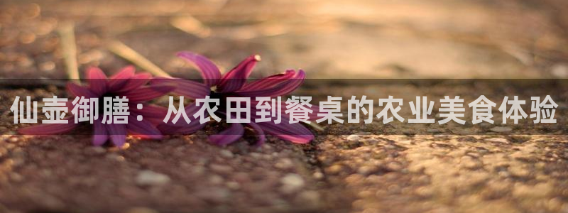 必一体育运动官网