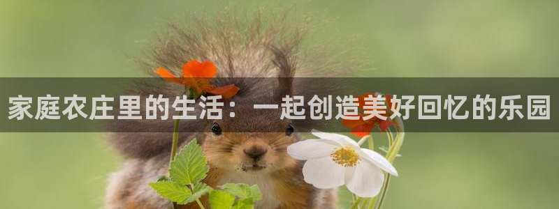 必一体育bsport下载