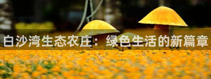 必一体育下载一样吗