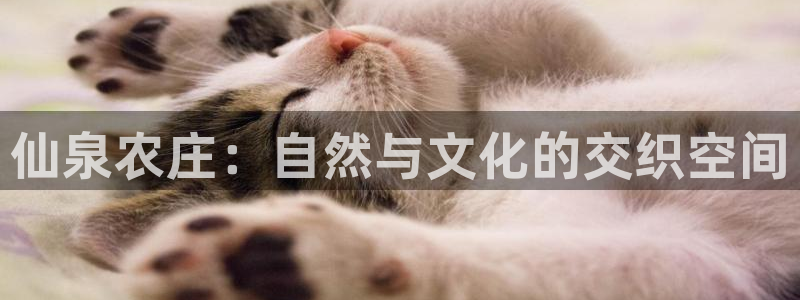 必一体育最新官网入口首页