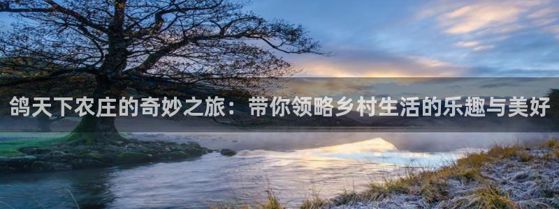 必一体育怎么下载