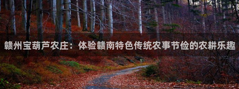 必一体育官网app