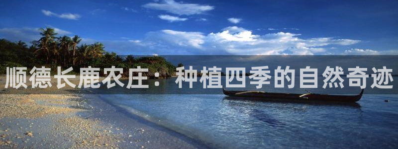 必一运动体育app