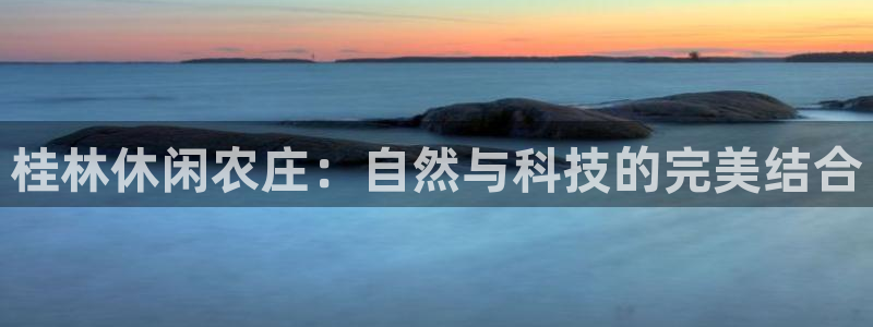 必一体育运动平台官网