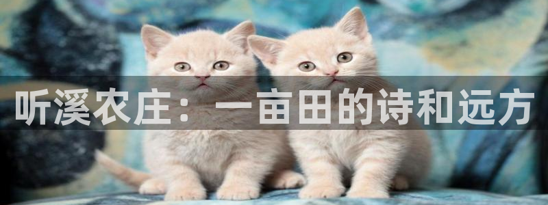 必一体育sport官网