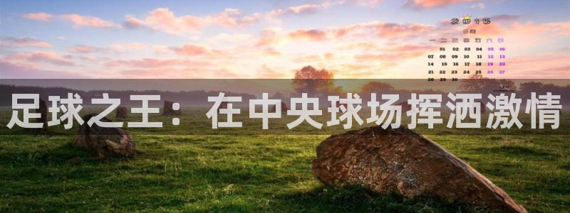 必一体育皮尔斯