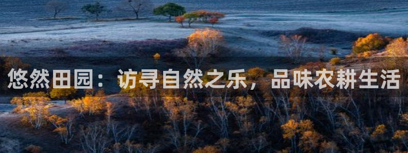 必一体育最新官网入口首页