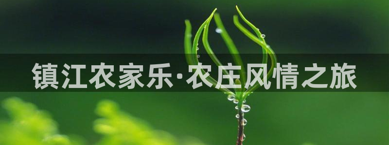 必一体育sport网页版