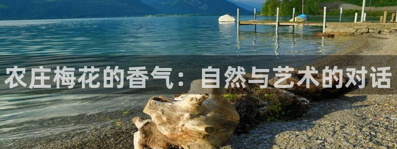 必一运动体育app