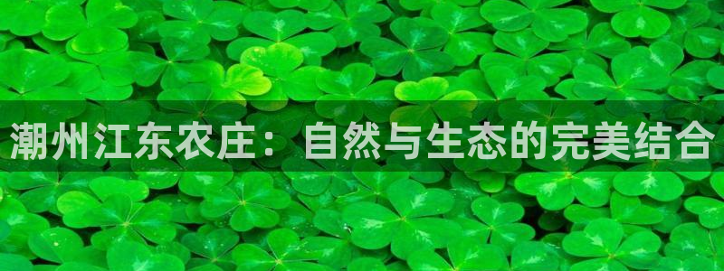 必一体育app官方正版下载