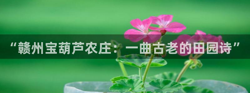 必一体育下载app下载