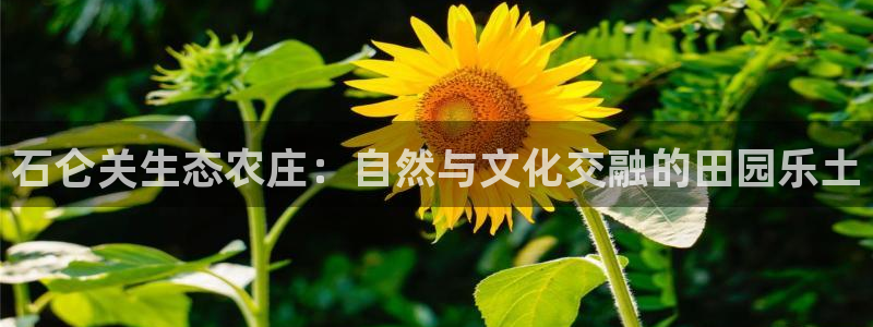 必一体育app官方