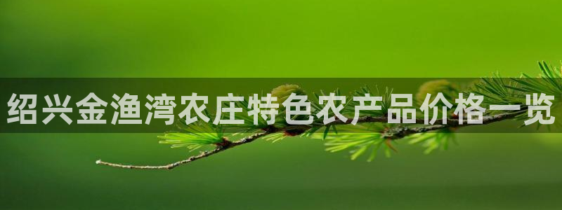 必一运动听的歌