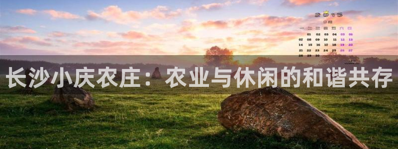 必一体育是哪里的台子